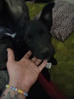 processed/946c2344-c34a-4b0a-a494-63977de37748/listing/6b418b23-8bbf-4b2b-a592-cc09dbc4d372/7f435094-77a9-4b72-9ed6-8866e5e2f918