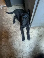 processed/946c2344-c34a-4b0a-a494-63977de37748/listing/6b418b23-8bbf-4b2b-a592-cc09dbc4d372/d4244377-6967-416c-971d-31e2e74b249d