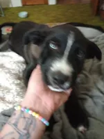 processed/946c2344-c34a-4b0a-a494-63977de37748/listing/6b418b23-8bbf-4b2b-a592-cc09dbc4d372/f0b8de68-660a-464e-863f-4e89f1d1293d