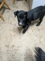 processed/946c2344-c34a-4b0a-a494-63977de37748/listing/6b418b23-8bbf-4b2b-a592-cc09dbc4d372/fdba3228-256c-4e03-9e30-3038aa706463