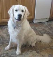 processed/947016b8-bec1-4a96-9cdf-4c29de1f1cf0/facility/2c043948-c0ca-410e-86dd-41e820082a0a