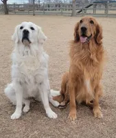 processed/947016b8-bec1-4a96-9cdf-4c29de1f1cf0/facility/3c7795b8-ecc5-40ad-adec-b2666e01ce21