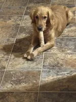 processed/947016b8-bec1-4a96-9cdf-4c29de1f1cf0/facility/8976ec83-6d56-406b-b5dd-8bfcab80554a