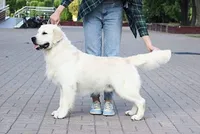 processed/947016b8-bec1-4a96-9cdf-4c29de1f1cf0/facility/955634e4-7e5e-4e42-9e1c-2ef6d1001f8f