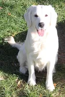 processed/947016b8-bec1-4a96-9cdf-4c29de1f1cf0/facility/9f912b2e-37a3-4fef-8645-7757dbc932bc