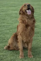 processed/947016b8-bec1-4a96-9cdf-4c29de1f1cf0/facility/a92357f1-bb03-4400-975c-f6dde475f89b