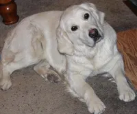 processed/947016b8-bec1-4a96-9cdf-4c29de1f1cf0/facility/ab254241-002f-41cc-a6cd-7e6cb2243def