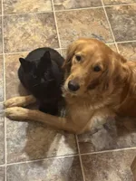 processed/947016b8-bec1-4a96-9cdf-4c29de1f1cf0/facility/c8519ea6-2063-4141-8823-21f7f58c545d