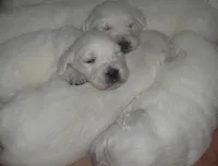 processed/947016b8-bec1-4a96-9cdf-4c29de1f1cf0/facility/d36eb9f0-daa3-419b-ad5e-4e741c197f47