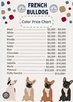 Riley, a female French Bulldog for sale in Long Beach, CA – 5 of 6