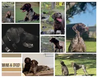 processed/947725cc-f769-459b-baaa-d39206d069ff/listing/f3021dd7-9f62-4ddc-9104-02c6cb0194db/3a51a003-dbd1-41c7-ba62-9ee77724ba09