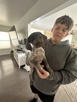 processed/947725cc-f769-459b-baaa-d39206d069ff/listing/f3021dd7-9f62-4ddc-9104-02c6cb0194db/5643692a-acb0-4487-87a6-fab799e10df3