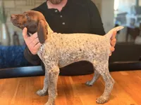 processed/947725cc-f769-459b-baaa-d39206d069ff/listing/f3021dd7-9f62-4ddc-9104-02c6cb0194db/829c40a7-a019-4a0d-ae1d-6eaf0d166cd9