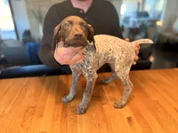 processed/947725cc-f769-459b-baaa-d39206d069ff/listing/f3021dd7-9f62-4ddc-9104-02c6cb0194db/cac71121-2f65-4f89-b1be-d0b40172e159