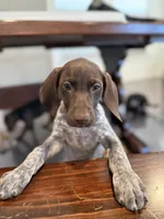 processed/947725cc-f769-459b-baaa-d39206d069ff/listing/f3021dd7-9f62-4ddc-9104-02c6cb0194db/e8431b84-17cc-42fc-8638-c46888f1cd97