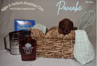 Pancake, a male Goldendoodle and Irish Doodle for sale in Sparta, TN – 3 of 6
