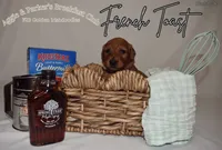 French Toast, a male Goldendoodle and Irish Doodle for sale in Sparta, TN – 3 of 6