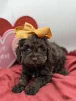 processed/949b013f-0bcf-4eb7-8242-1d54f658f7e3/listing/012ac281-523b-4896-8b9f-94cc5482ddae/0aab44e1-511d-4342-9b5e-322b40f58bc5