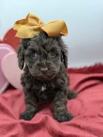 processed/949b013f-0bcf-4eb7-8242-1d54f658f7e3/listing/012ac281-523b-4896-8b9f-94cc5482ddae/1f3a5f9a-25fa-4aa9-b0d5-e1d0dddabb74