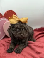 processed/949b013f-0bcf-4eb7-8242-1d54f658f7e3/listing/012ac281-523b-4896-8b9f-94cc5482ddae/1fc35391-9c97-4388-a0ca-645a8a94235a