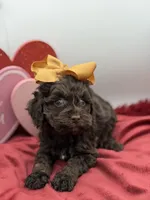 processed/949b013f-0bcf-4eb7-8242-1d54f658f7e3/listing/012ac281-523b-4896-8b9f-94cc5482ddae/8127b225-21a6-4848-83f7-3cbe14a883a4