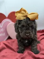 processed/949b013f-0bcf-4eb7-8242-1d54f658f7e3/listing/012ac281-523b-4896-8b9f-94cc5482ddae/cd88e154-d794-44ff-8992-80a397dda300