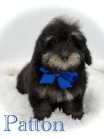 processed/949b013f-0bcf-4eb7-8242-1d54f658f7e3/listing/0acc4581-75a8-4ee9-85a1-24d3a6063db5/1ab7e71a-5165-4b4f-a412-95d0be8c262c