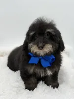 processed/949b013f-0bcf-4eb7-8242-1d54f658f7e3/listing/0acc4581-75a8-4ee9-85a1-24d3a6063db5/597c4a5c-4a63-47fb-b24b-845f1eacb6cc