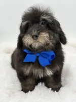 processed/949b013f-0bcf-4eb7-8242-1d54f658f7e3/listing/0acc4581-75a8-4ee9-85a1-24d3a6063db5/686ad31a-e348-4e61-b0d8-a39a63a53e5c