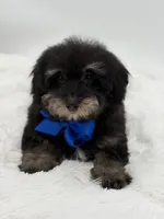 processed/949b013f-0bcf-4eb7-8242-1d54f658f7e3/listing/0acc4581-75a8-4ee9-85a1-24d3a6063db5/9df5179e-d1a6-4aab-8572-243183259dfd