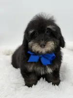 processed/949b013f-0bcf-4eb7-8242-1d54f658f7e3/listing/0acc4581-75a8-4ee9-85a1-24d3a6063db5/cd892a48-486f-409f-a259-6f10ff374343