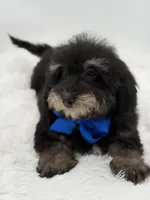 processed/949b013f-0bcf-4eb7-8242-1d54f658f7e3/listing/0acc4581-75a8-4ee9-85a1-24d3a6063db5/e54f85ba-bfec-42eb-ad6c-81382b9ddd69