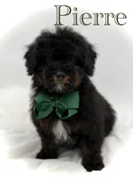 processed/949b013f-0bcf-4eb7-8242-1d54f658f7e3/listing/35ce1199-6675-4637-81f0-4a7c3faf0187/3b6bee53-fbc0-4253-93a1-590e664d3c46