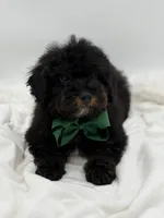 processed/949b013f-0bcf-4eb7-8242-1d54f658f7e3/listing/35ce1199-6675-4637-81f0-4a7c3faf0187/46fc5273-6b0a-4faa-ad87-0ea6809ec1ec