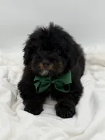 processed/949b013f-0bcf-4eb7-8242-1d54f658f7e3/listing/35ce1199-6675-4637-81f0-4a7c3faf0187/5360bf2a-c132-4808-afe4-93cae6aeb8fd