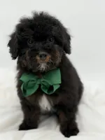 processed/949b013f-0bcf-4eb7-8242-1d54f658f7e3/listing/35ce1199-6675-4637-81f0-4a7c3faf0187/5d259958-c199-4892-bd1a-8003aa1e4f08