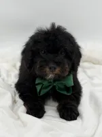 processed/949b013f-0bcf-4eb7-8242-1d54f658f7e3/listing/35ce1199-6675-4637-81f0-4a7c3faf0187/6851e430-5533-4e59-abfa-1b8cdfafba51