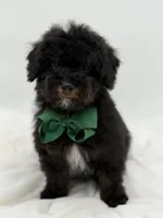 processed/949b013f-0bcf-4eb7-8242-1d54f658f7e3/listing/35ce1199-6675-4637-81f0-4a7c3faf0187/8720ba50-3c65-42dd-ad04-81abc3f36049