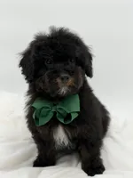 processed/949b013f-0bcf-4eb7-8242-1d54f658f7e3/listing/35ce1199-6675-4637-81f0-4a7c3faf0187/8abe3cd2-44f0-431a-a553-24ddf00cd451