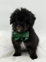 processed/949b013f-0bcf-4eb7-8242-1d54f658f7e3/listing/35ce1199-6675-4637-81f0-4a7c3faf0187/a6210629-45b6-468b-a13f-f0e798b69376