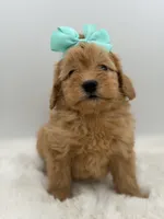 processed/949b013f-0bcf-4eb7-8242-1d54f658f7e3/listing/4b3342dd-5be7-47af-a17d-450d1eeb83de/2a919c7d-c4d2-4d36-b32d-db4cb4c7be9e