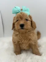 processed/949b013f-0bcf-4eb7-8242-1d54f658f7e3/listing/4b3342dd-5be7-47af-a17d-450d1eeb83de/6c6ce3ca-e0a5-4803-acf9-53d2d9ff86f2