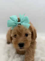 processed/949b013f-0bcf-4eb7-8242-1d54f658f7e3/listing/4b3342dd-5be7-47af-a17d-450d1eeb83de/a0a26e94-7f3a-4183-a0f2-95ee5f89e31e