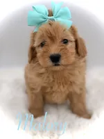 processed/949b013f-0bcf-4eb7-8242-1d54f658f7e3/listing/4b3342dd-5be7-47af-a17d-450d1eeb83de/a36b0592-d7f8-4684-8f1d-5497e63ce91c