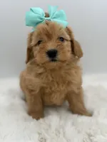 processed/949b013f-0bcf-4eb7-8242-1d54f658f7e3/listing/4b3342dd-5be7-47af-a17d-450d1eeb83de/aba6e388-f0b7-4833-9dc2-8dbae07c0d11