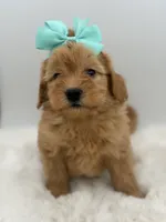 processed/949b013f-0bcf-4eb7-8242-1d54f658f7e3/listing/4b3342dd-5be7-47af-a17d-450d1eeb83de/d952b87f-7ef9-448d-90e9-7ec914d2488a