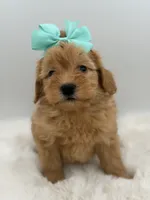 processed/949b013f-0bcf-4eb7-8242-1d54f658f7e3/listing/4b3342dd-5be7-47af-a17d-450d1eeb83de/fbc38a8b-2928-4ca4-a0b9-23326b40440e