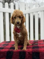 processed/949b013f-0bcf-4eb7-8242-1d54f658f7e3/listing/4ed36ab5-b03b-49e4-a4bc-c6bd866bb4d0/129ce784-fe9a-4221-a8ae-c3ede2bd2ad6