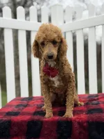 processed/949b013f-0bcf-4eb7-8242-1d54f658f7e3/listing/4ed36ab5-b03b-49e4-a4bc-c6bd866bb4d0/14efb31c-7a38-4720-826a-4d9ea2e96a30