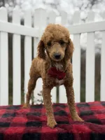 processed/949b013f-0bcf-4eb7-8242-1d54f658f7e3/listing/4ed36ab5-b03b-49e4-a4bc-c6bd866bb4d0/36ec9460-593a-45f9-a0bd-cd99f61823e5